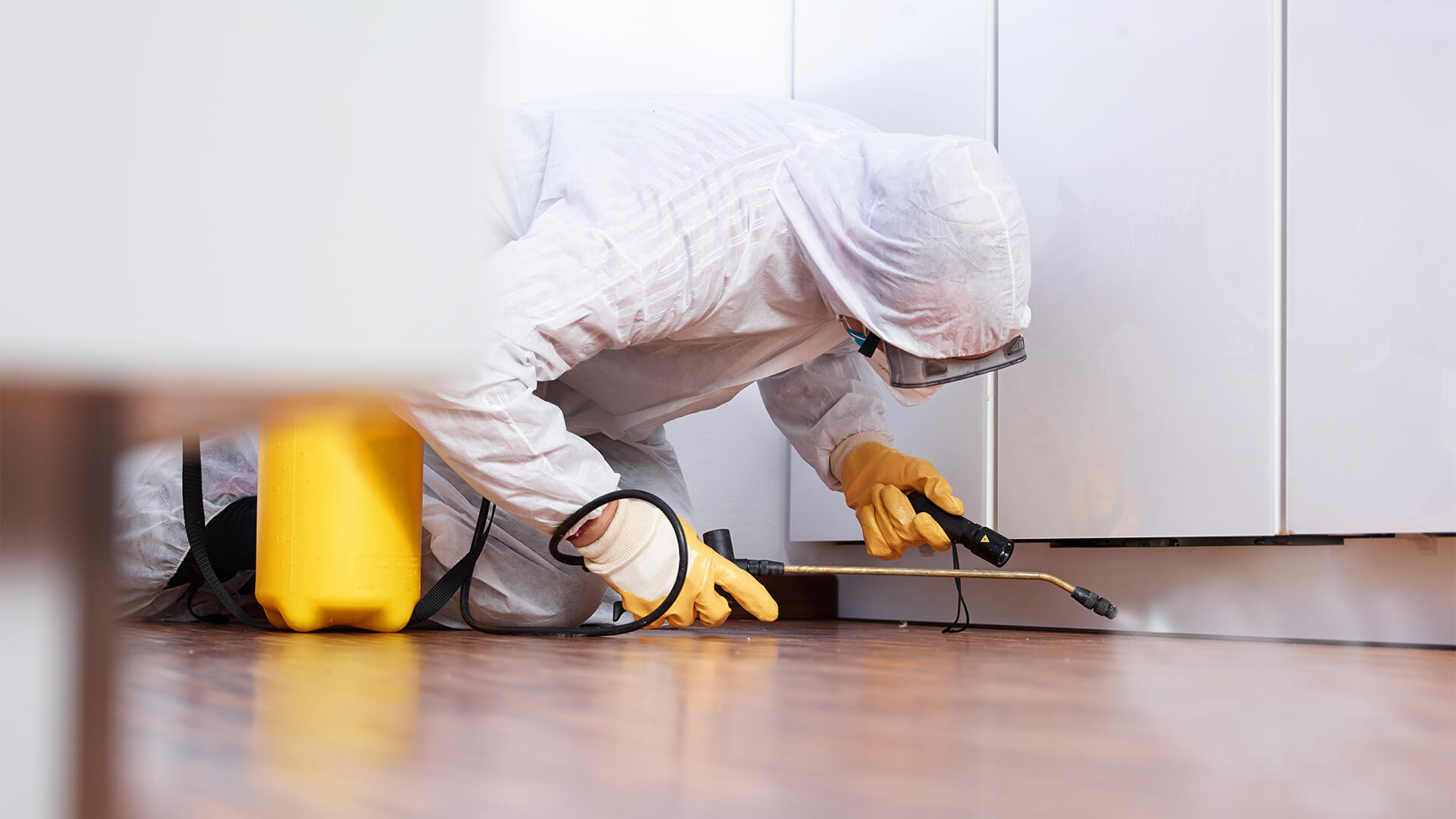 Book Termite Proofing