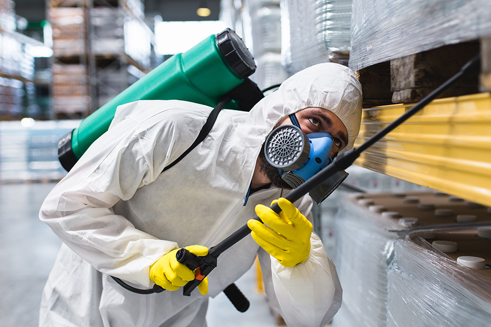 NASA Pest team at work