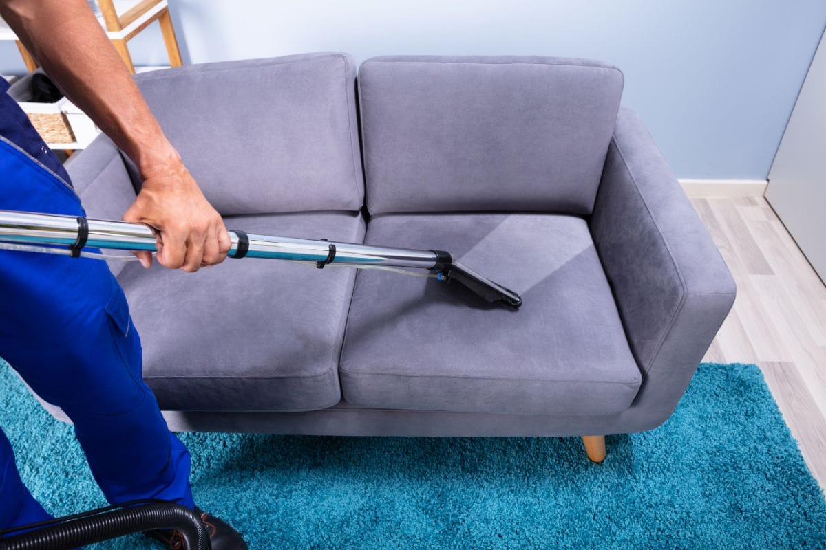Fresh and Clean Sofas