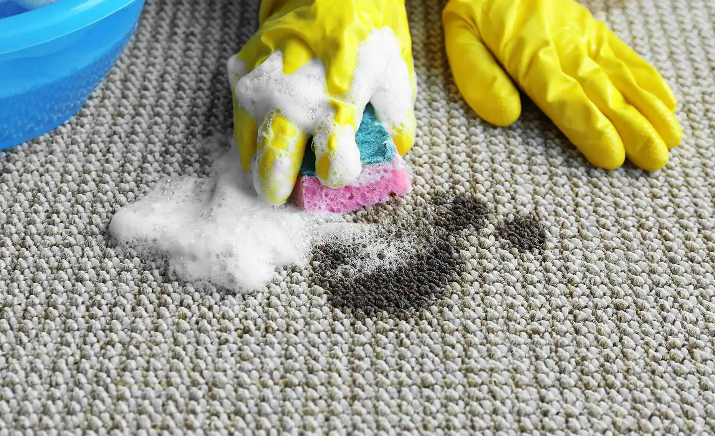 Carpet Cleaning Services