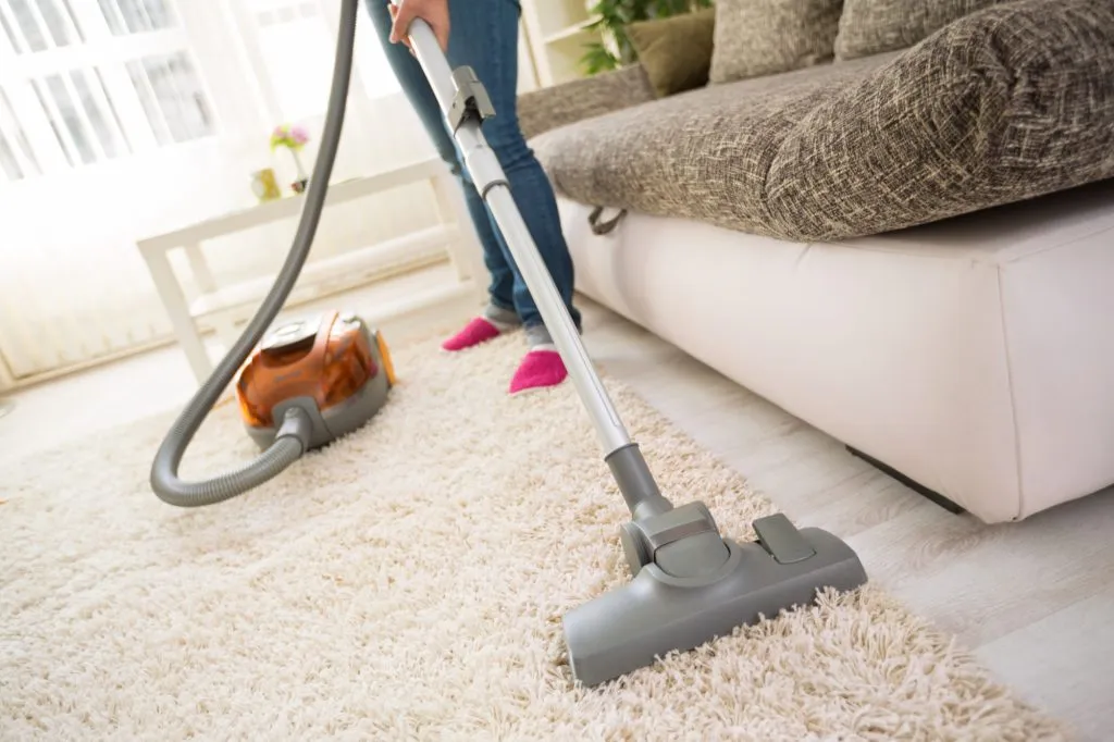 Book Carpet Cleaning