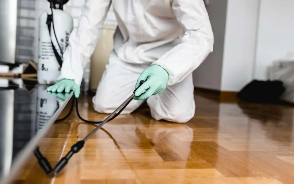 Advanced Termite Protection